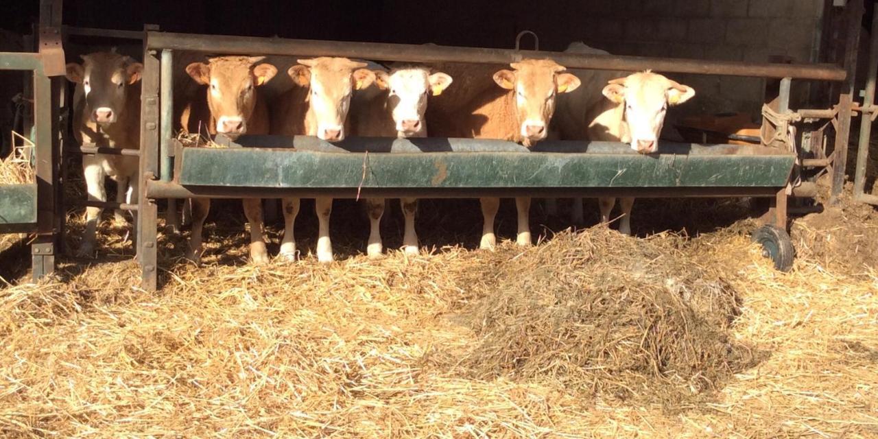 Aux Bois Dores De La Ferme De Sorval, Animaux De La Ferme, Fitness Selvigny Екстер'єр фото