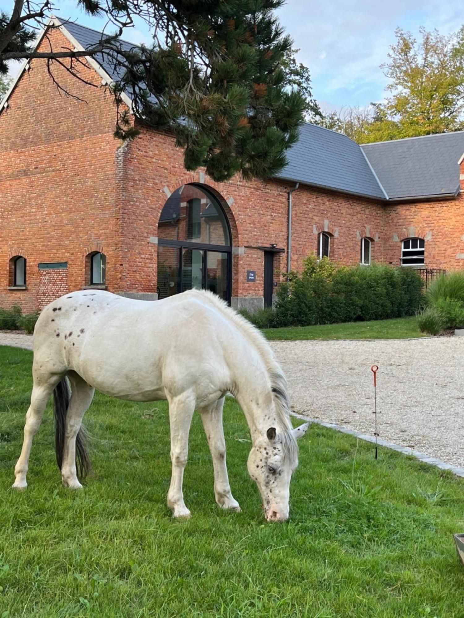 Aux Bois Dores De La Ferme De Sorval, Animaux De La Ferme, Fitness Selvigny Екстер'єр фото